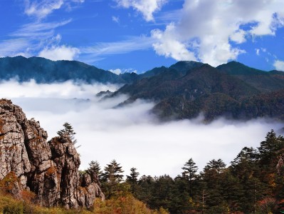 青岛神农架：秘境之旅，云海奇观，草原牧歌，探寻世外桃源